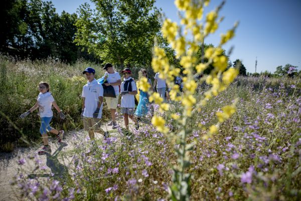 La educación ambiental, pilar fundamental hacia un planeta más sostenible