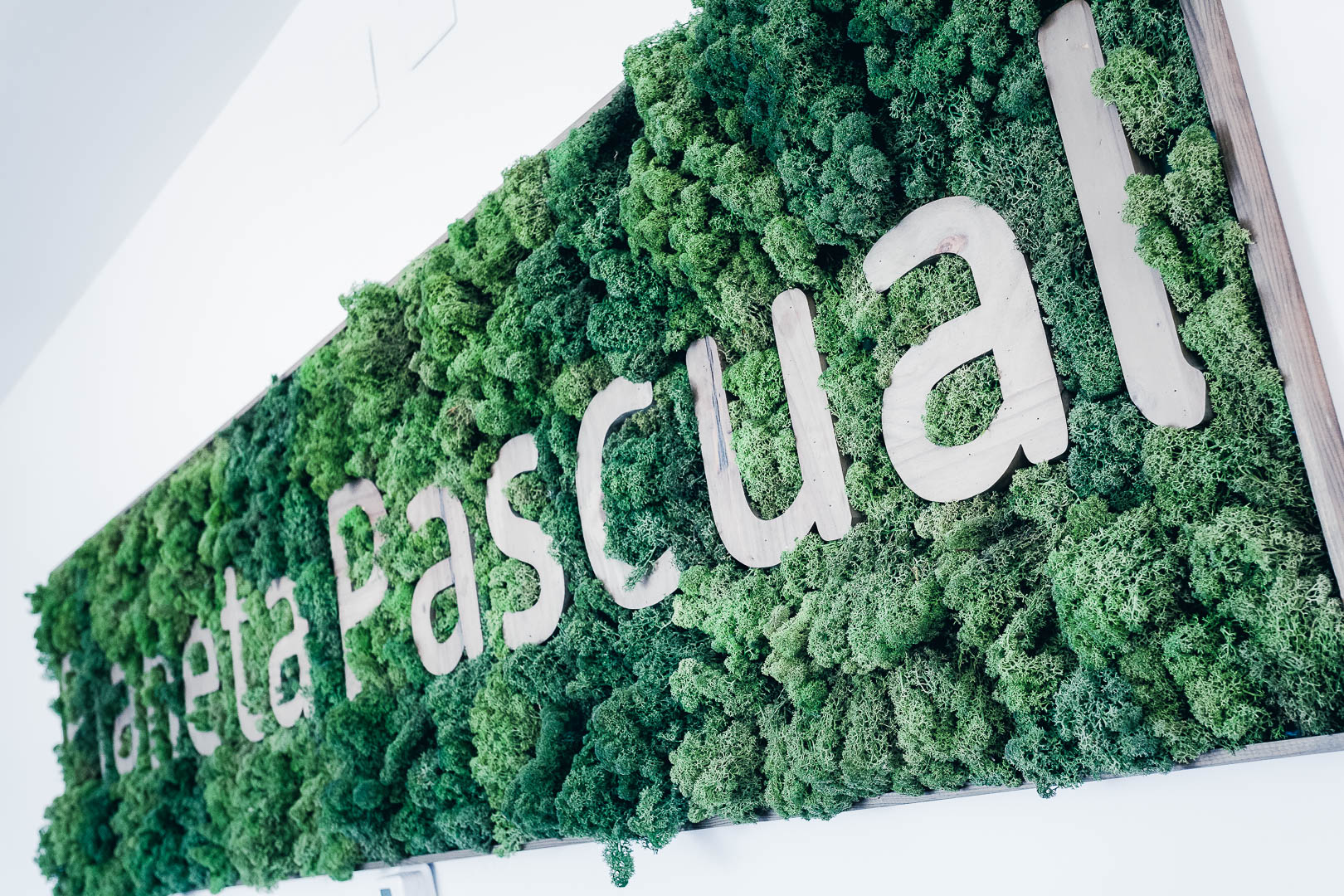 Pascual sigue siendo líder en el sector lácteo / Pascual