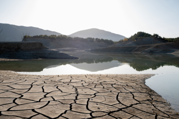 La disminución de las lluvias hace pensar en el aumento de las sequías en nuestro país / El Mundo 