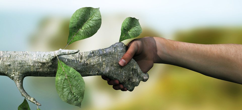 Las empresas deben dar la mano a la sostenibilidad / Maikii