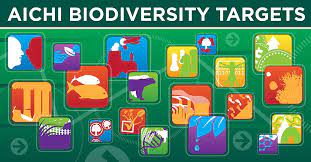 España ha suspendido en el informe sobre biodiversidad de la pasada década / Ecosistemas del milenio