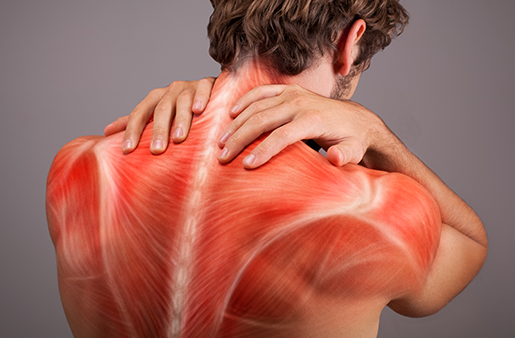 Los dolores de espalda se curan con ejercicio en casa / Dolor