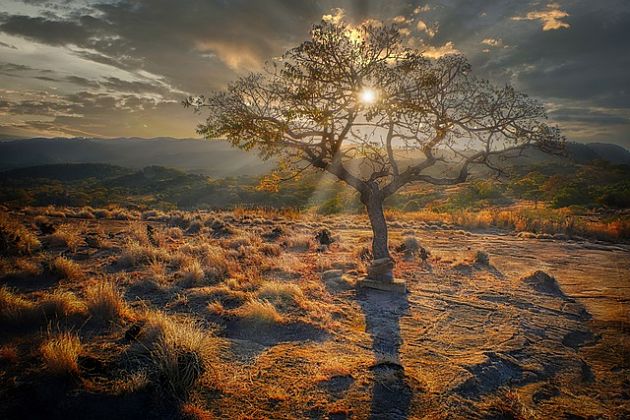  Parque Nacional Hwange, Zimbabwe/Pixabay