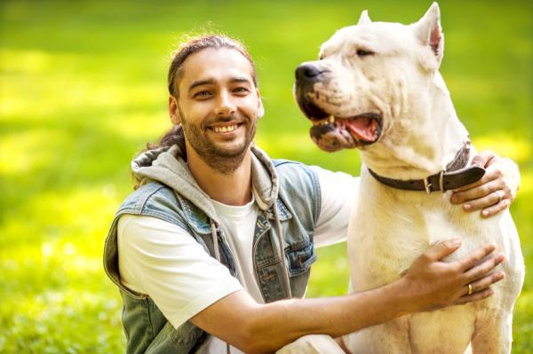 Los adiestradores de perros han aumentado su demanda este verano / Experto Animal