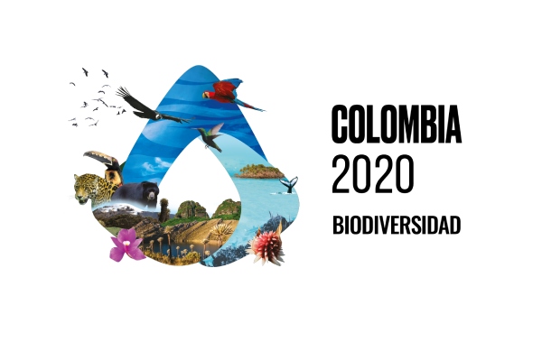 Colombia, país anfritión del Día Mundial del Medio Ambiente 2020