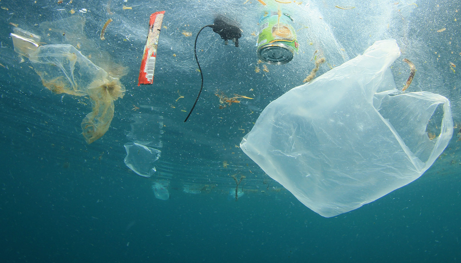 La contaminación de los plásticos es un asunto muy importante en todo el mundo / Parlamento Europeo