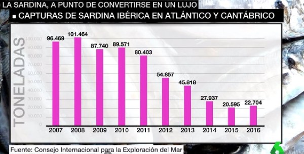 Gráfico que muestra el descenso de la población de sardina ibérica de 2007 a 2016. Imagen de: La Sexta