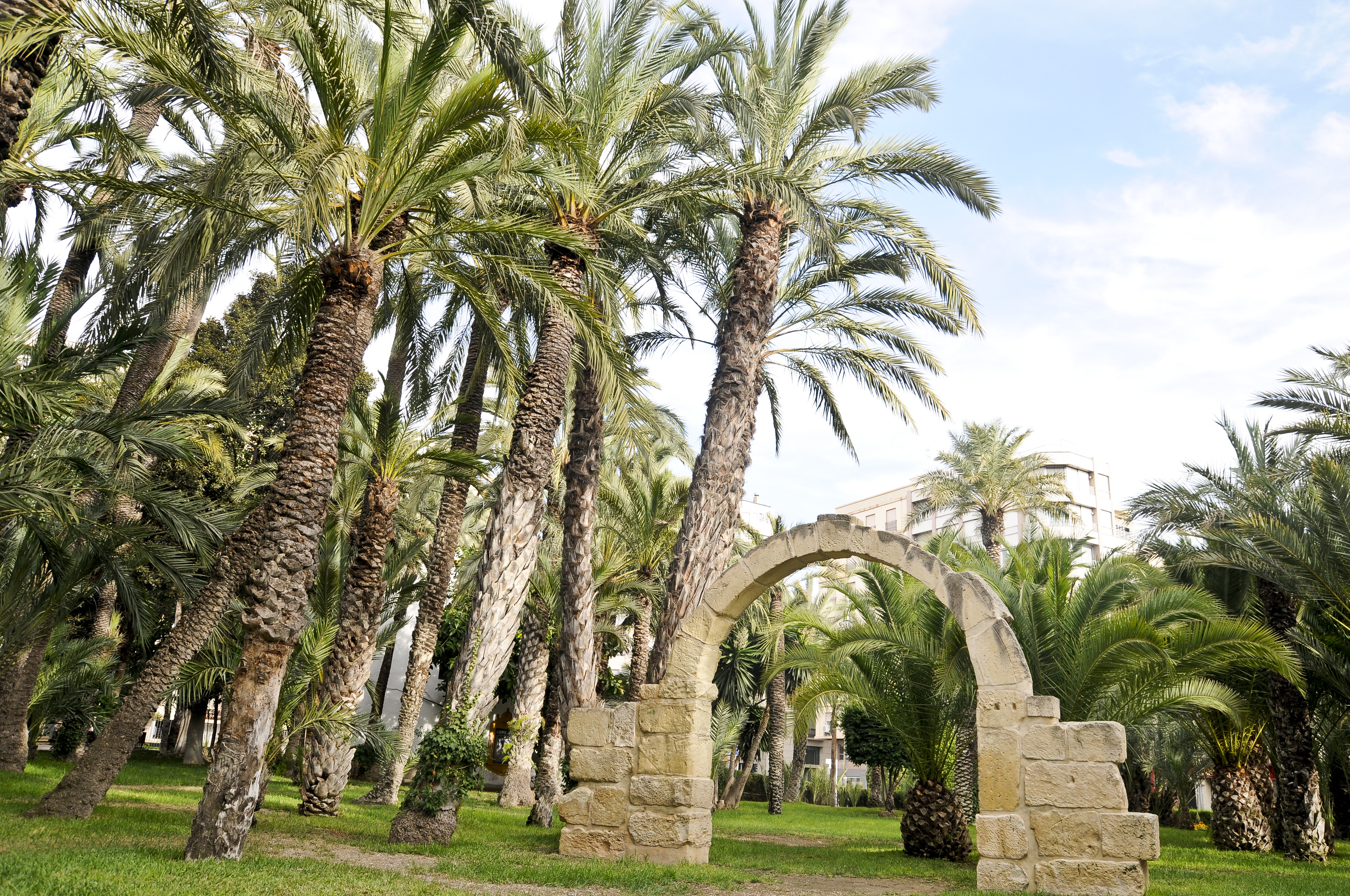 El Palmeral de Elche es uno de los monumentos Patrimonio de la Humanidad que tenemos en España / Visit Elche