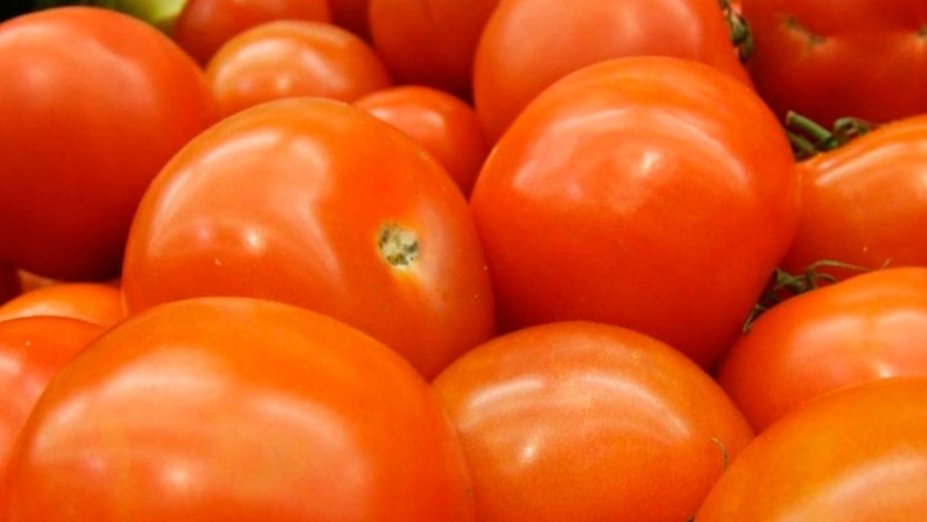 Los tomates son un alimento muy bueno para la salud / Agroempresario