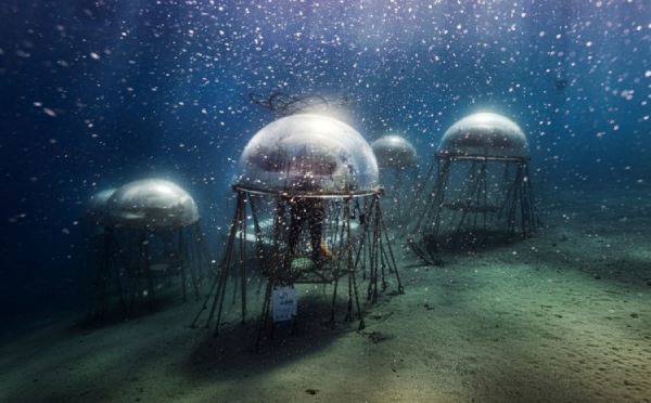 Jardín de Nemo bajo el mar