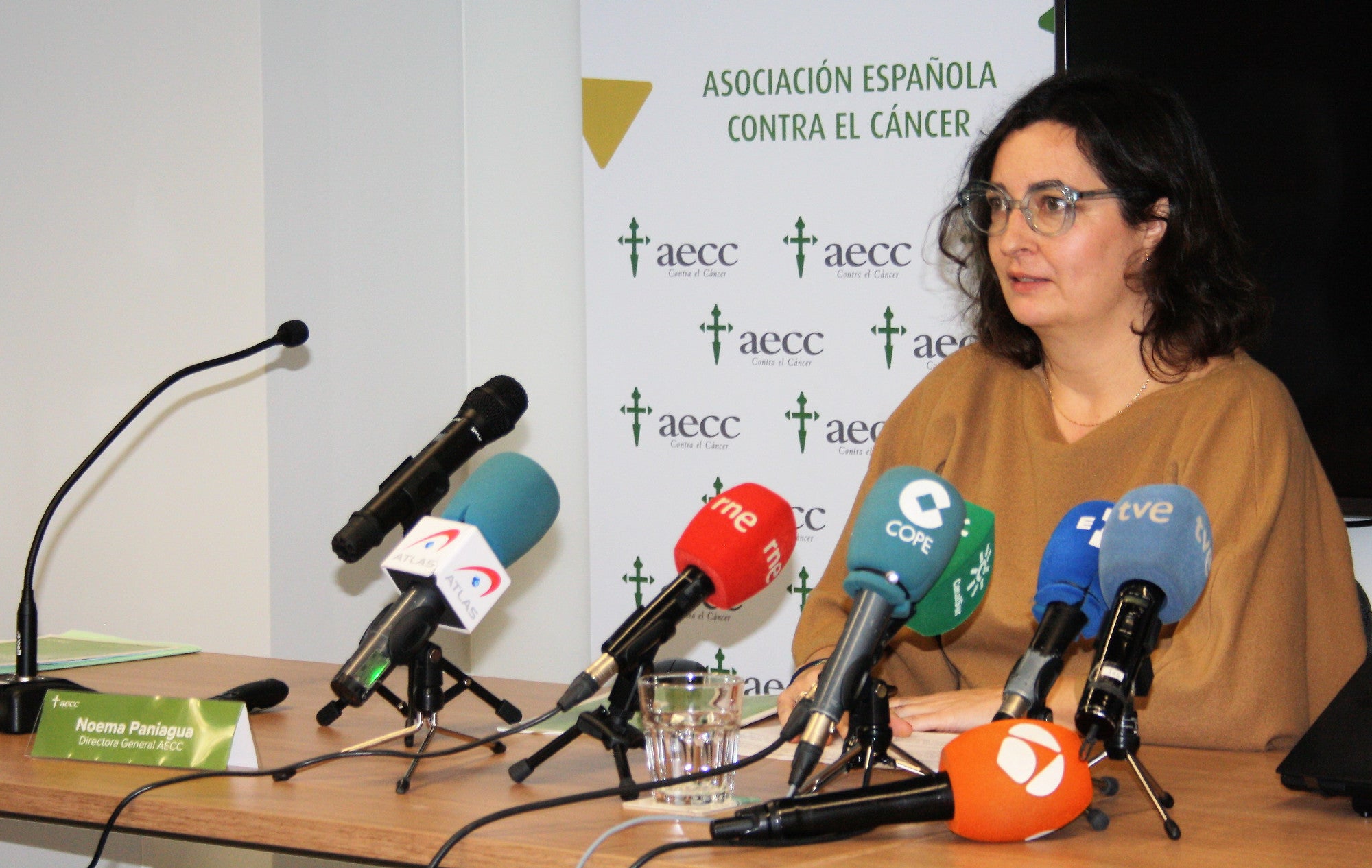 Noema Paniagua, Directora General de la AECC ante los medios / EFE Salud