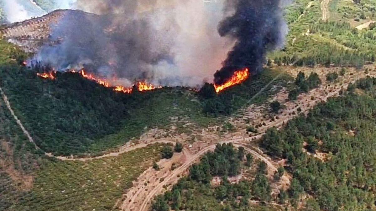 Galicia es una de las zonas más afectadas por los incendios forestales / Faro de Vigo 