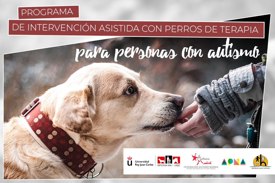 Autismo Madrid y la URJC trabajan en una terapia de personas con TEA con perros / Autismo Madrid