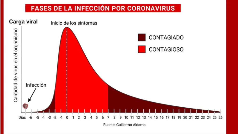 Gráfico que muestra la diferencia entre estar contagiado y ser contagioso
GUILLERMO ALDAMA / NIUS