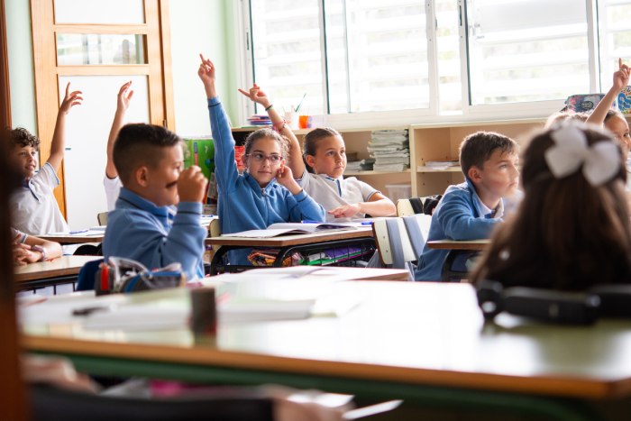 Estudiantes de primaria levantando la mano durante la lección en el aula