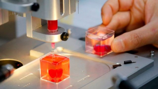 comodidad hecho templar Los trasplantes de órganos tienen su futuro en las impresoras 3D