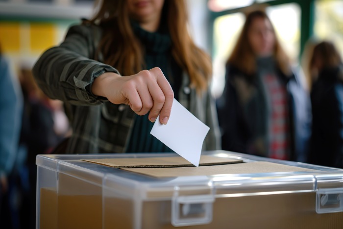 voto accesible