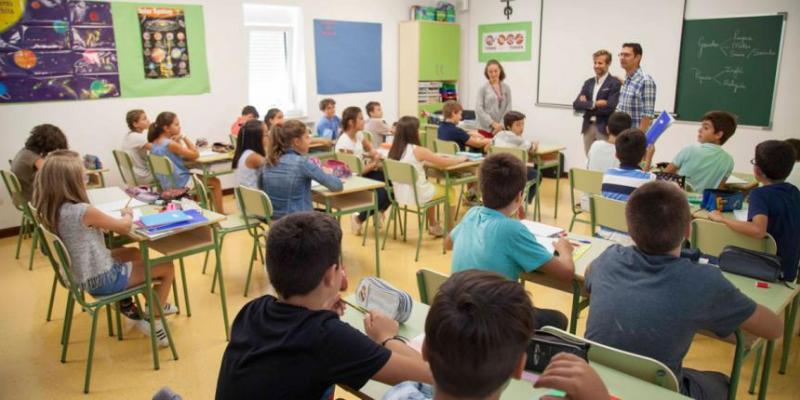 Plena Inclusión Plena Inclusión pide fondos para adaptar los centros educativos