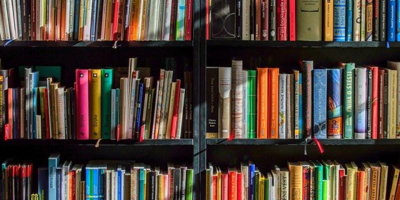 ¿Cuáles son las comunidades en las que más se lee? Estante con libros. Foto de pixabay