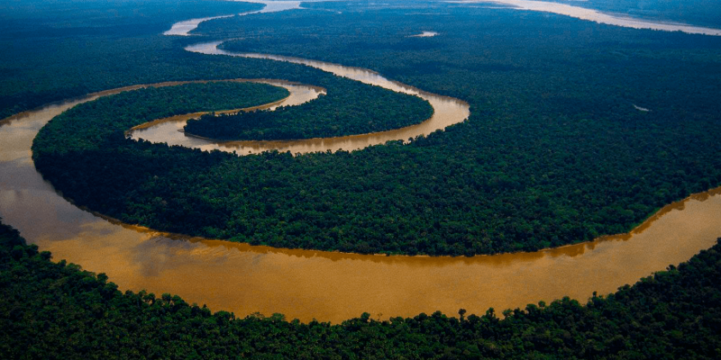 8 países contra Amazon