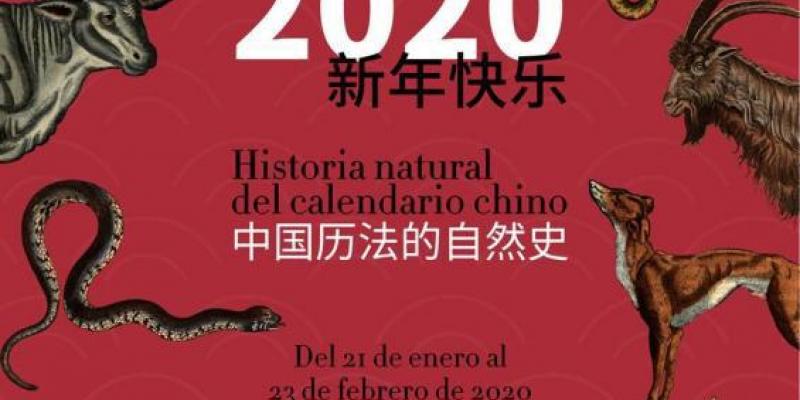 Cartel exposición Año Nuevo Chino Cartel exposición Año Nuevo Chino