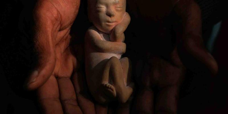 abortos / Sputnik Mundo Los centros médicos públicos deberán practicar abortos tras una decisión gubernamental