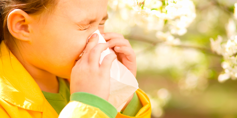 2 de abril, 2018 0 me gusta 0 comentarios
Las alergias más comunes en niños y cómo identificarlas
Salud alergiasinfantilsalud
Cada vez estamos más familiarizados con el asma, la rinitis, la conjuntivitis, la dermatitis o la urticaria, las alergias más comunes en niños y jóvenes. Alergias en niños