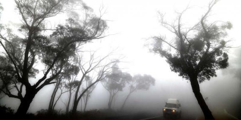Un automóvil se abre paso a través de una espesa niebla mezclada con humo de incendios forestales de las Montañas Azules, a unos 75 kilómetros de Sydney. | Fuente: AFP Un automóvil se abre paso a través de una espesa niebla mezclada con humo de incendios forestales de las Montañas Azules, a unos 75 kilómetros de Sydney. | Fuente: AFP