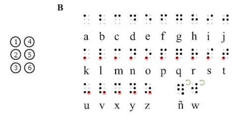 Braille/ Desarrollo Cognitivo Alfabeto braille para personas ciegas
