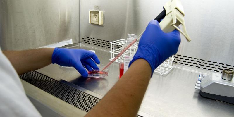 Salvar a siete millones de personas del cáncer, objetivo de la OMS Científico manejando unas probetas en laboratorio. Foto de la OMS