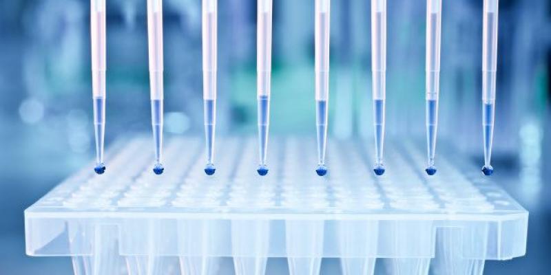 Investigadores del CSIC proponen un método de detección del coronavirus alternativo a las PCR. Científicos del CSIC estudian un nuevo método de diagnóstico, entre un 50 y un 70% más barato.
