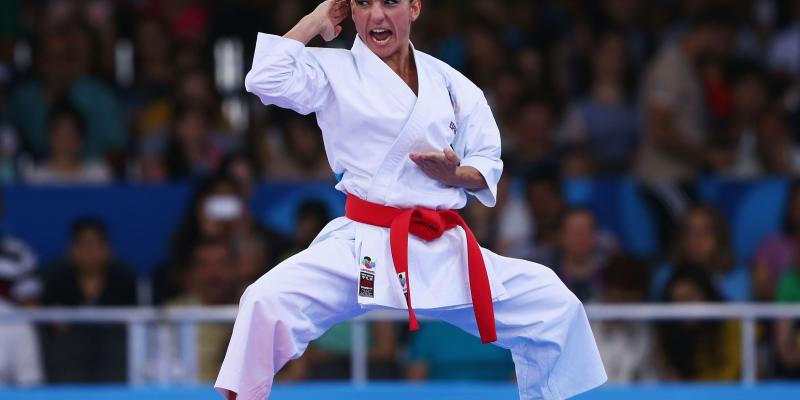 España logra aumentar su gran palmarés en el Campeonato de Europa de Karate celebrado en Guadalajara durante el pasado fin de semana. Campeonato Europeo Karate