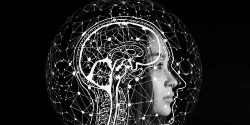 Algunos medios están comenzando a utilizar IA para algunos de sus contenidos / Geralt de Pixabay Algunos medios están comenzando a utilizar IA para algunos de sus contenidos.