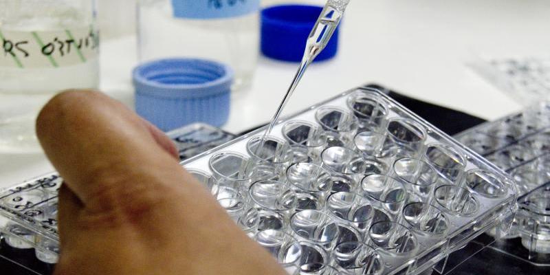 España, preparada ante una hipotética llegada del coronavirus de China