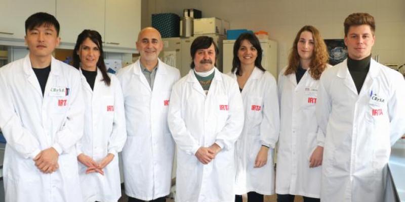 El equipo de coronavirus del Centro de Investigación en Sanidad Animal del IRTA. Foto de IRTA