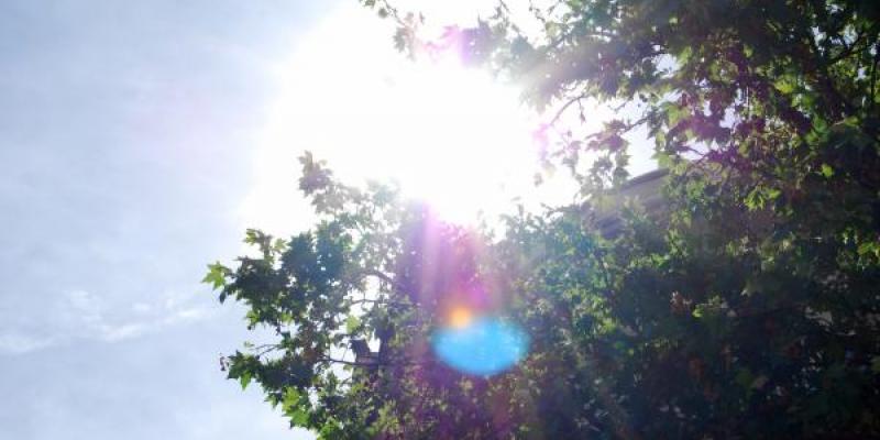 España se ha calentado 1,57 grados desde 1965 España temperatura emergencia climática