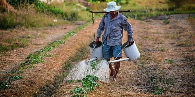 El regadío es una de las actividades donde más consumo de agua se realiza Regadío/Pixabay