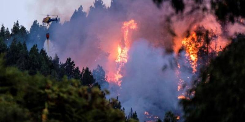 Fuego Gran Canaria