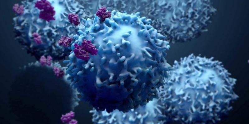 Células cáncer. SHUTTERSTOCK Células cáncer. SHUTTERSTOCK