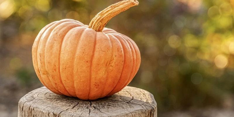 Calabaza de Halloween / Pixabay Calabaza
