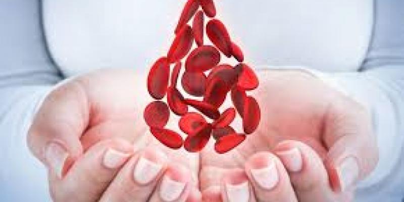 La hemofilia es una enfermedad ligada a la coagulación de la sangre Hemofilia, foto de Twitter