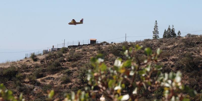 Incendio Gran Canaria (2)