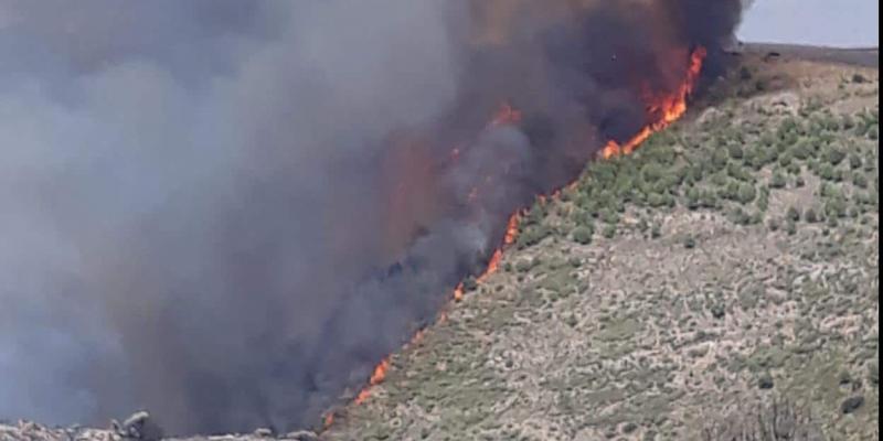 Una nueva investigación desarrolla una metodología para anticipar la detección de los incendios. Incendio Terque Almería