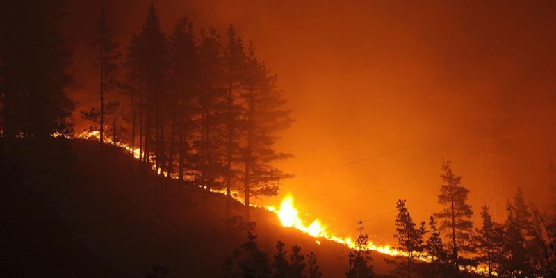 INCENDIOS EN CANTABRIA