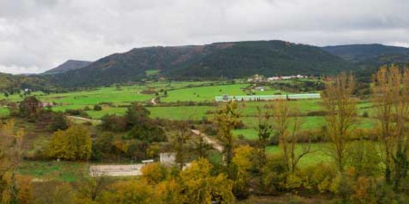 El Ministerio de Transición Ecológica plantea tener la infraestructura verde preparada antes de 2050