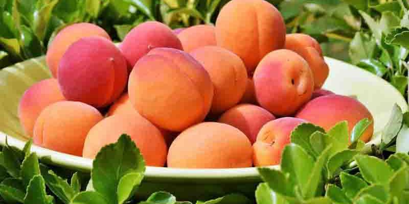 Mayo / Flores Mayo es el mes de las frutas veraniegas y los tomates