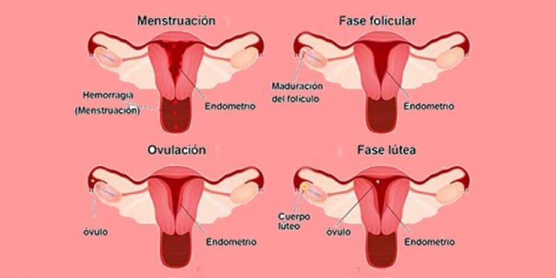 Menstruación