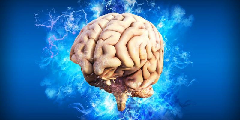 Migrañas Cerebro Cerebro