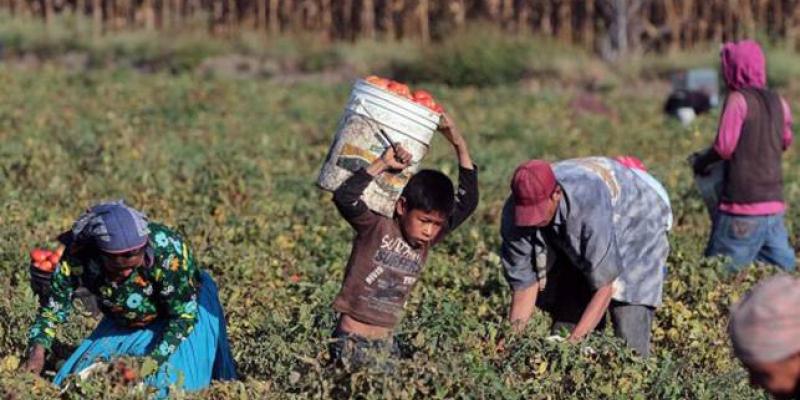 Trabajo decente ODS 8. Trabajo decente y crecimiento económico.