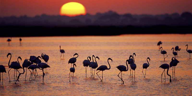Parques Nacionales / Diario de Huelva Parques Nacionales que podemos visitar este año